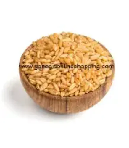 ഗോതമ്പ് (Gothambu - Wheat)